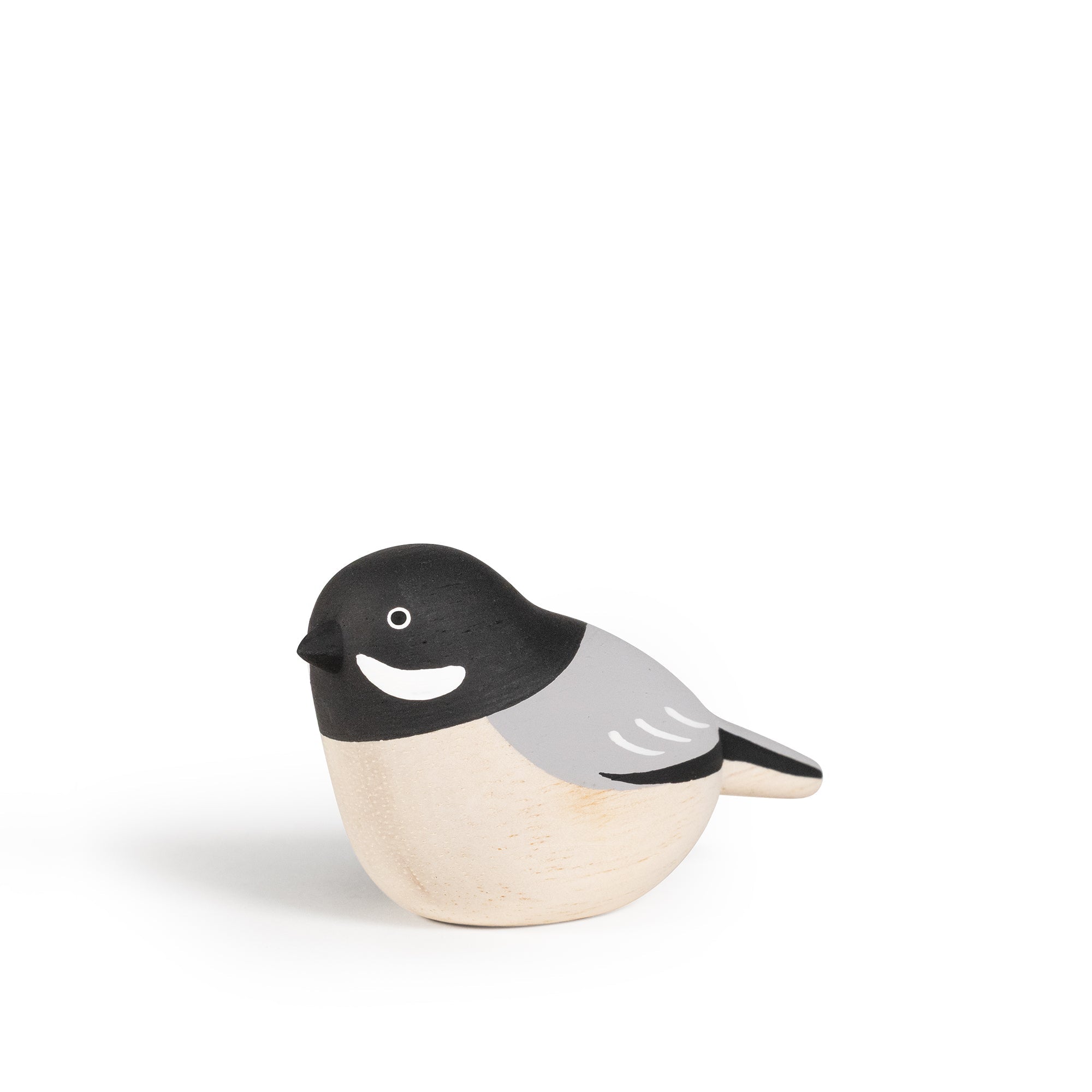 OISEAUX_MESANGE NOIRE
