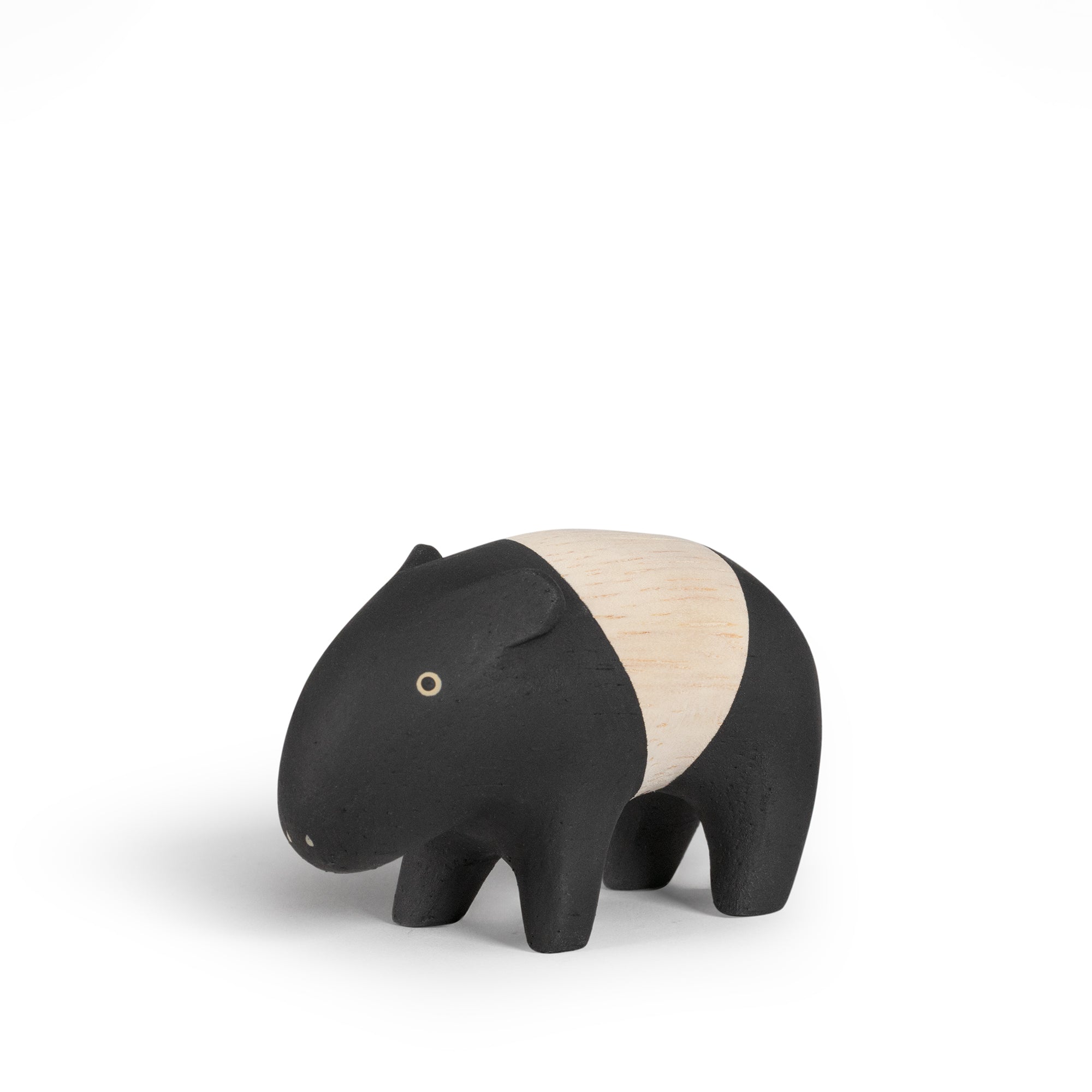 TAPIR