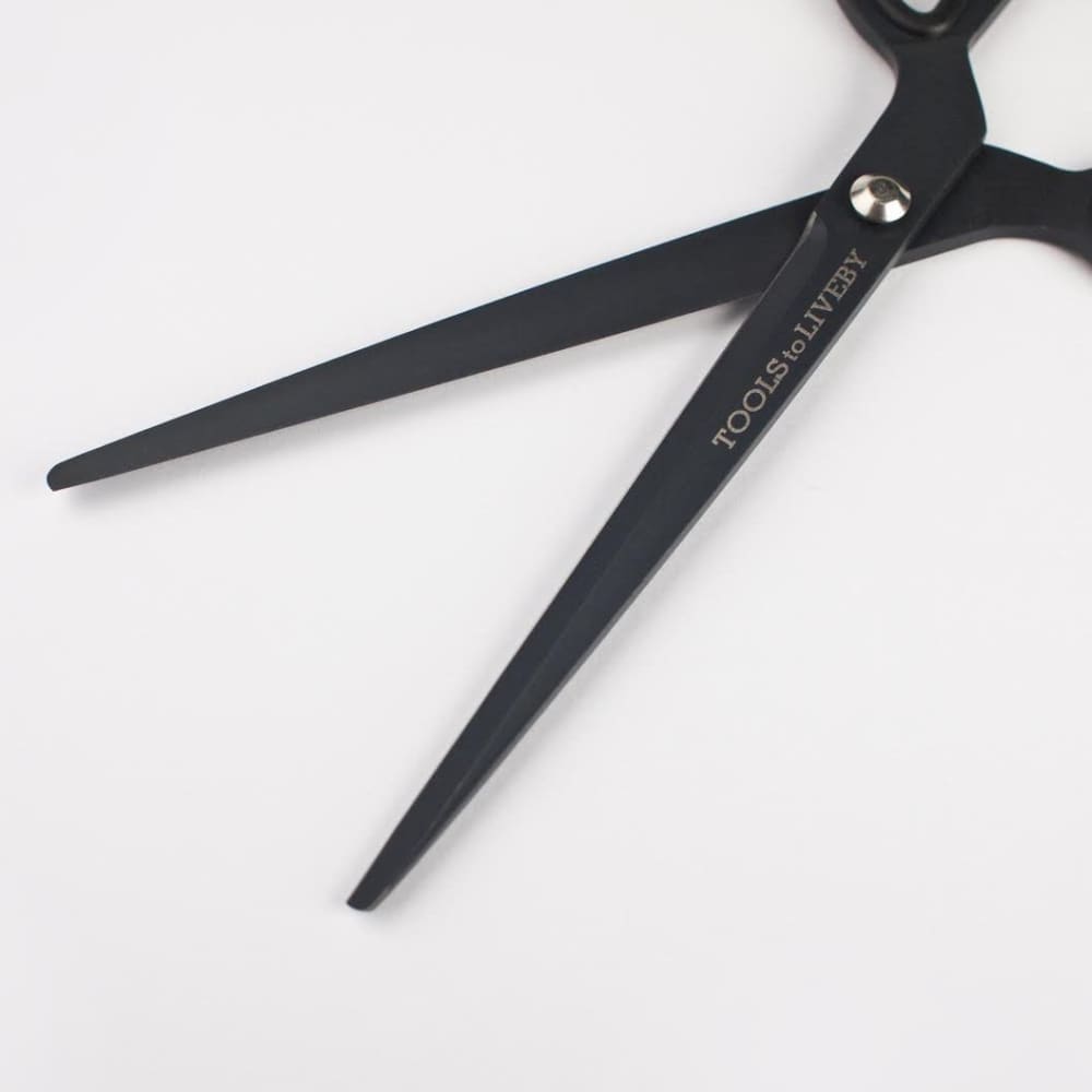 Ciseaux Noir 8’’ - SCISSORS