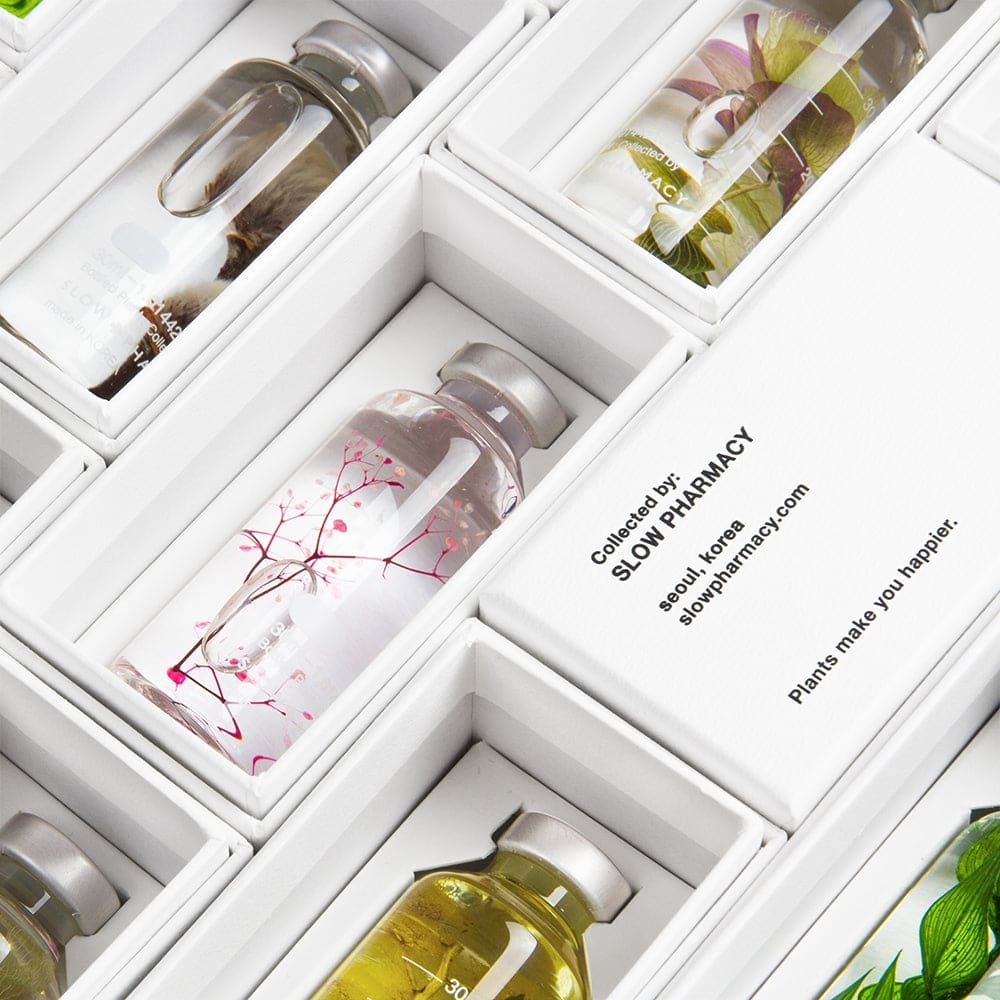 Plante immergée - Melaleuca alternifolia - FLEURS & PLANTES