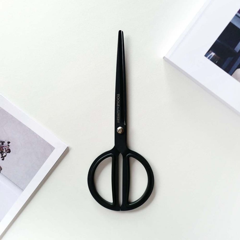Ciseaux Noir 8’’ - SCISSORS