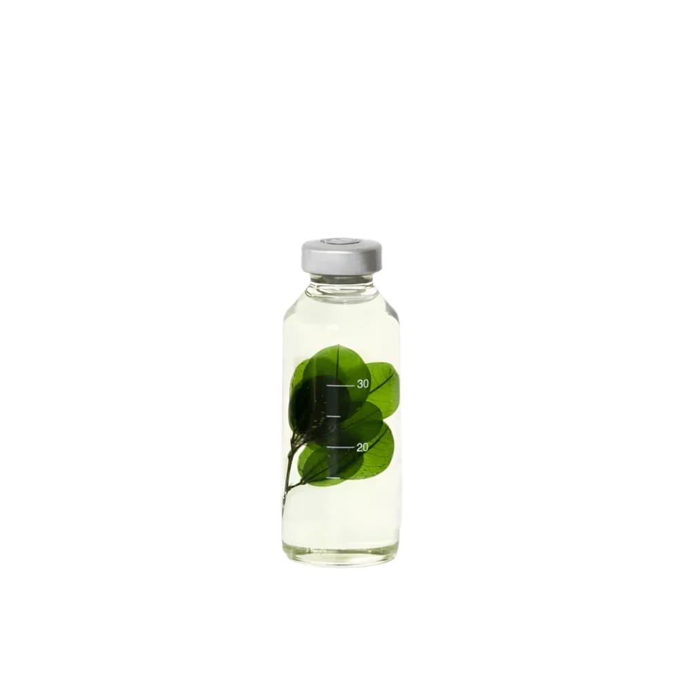 Plante immergée - Buxus microphylla - 30ml - FLEURS & PLANTES